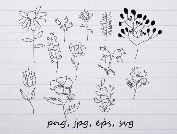 Doodle Wild Flowers Graphics for Illustrations