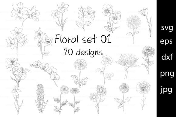 Flora Set, Hand-drawn Flowers: A Graphics and Illustrations Review