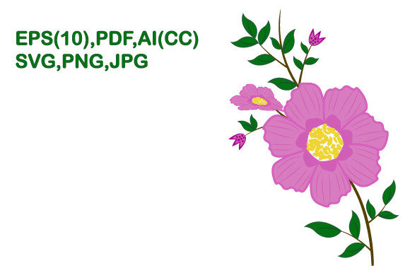 Flower Illustrations for Creative Design Projects