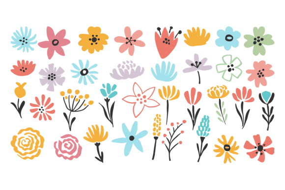 Flower Set. Botanical Color Elements. Fl Graphics and Illustrations