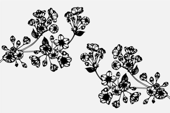 Hand Drawing Cherry Blossom Branch Art for Graphics and Illustrations