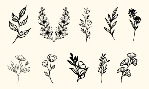 Hand Drawing Flower Line Art Set Vector Review