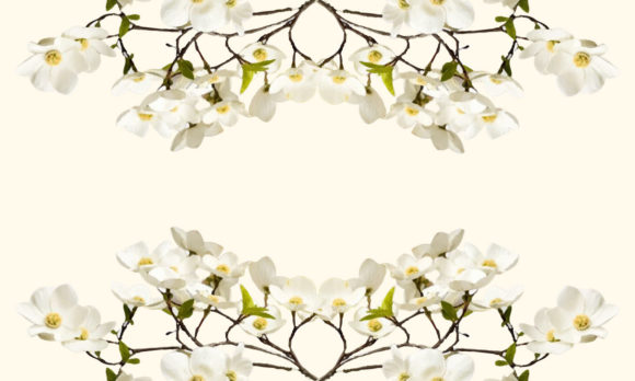 Hand Painted Sakura Cherry Blossom Art for Crafting