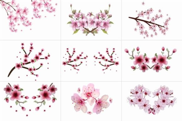 Hand Painted Sakura Cherry Blossom Set Review