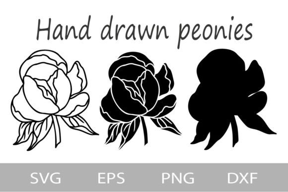 Peonies SVG Outline: Elegant Graphics for Illustrations