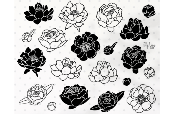 Peony Bundle SVG PNG Clipart, Flower Graphics & Illustrations