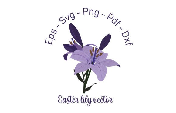 Purple Lily Vector Art for Graphics and Illustrations