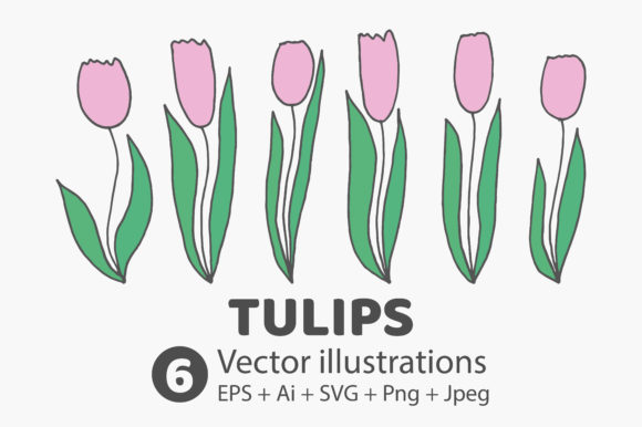 Tulips Hand-drawn Flowers Review