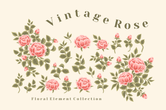 Vintage Rustic Rose and Peony Flower Set Graphics & Illustrations