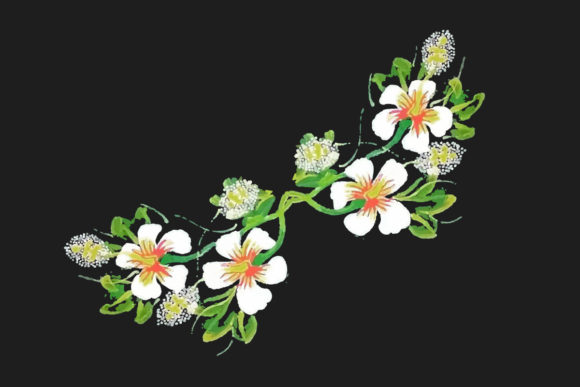 Watercolor Botanical Flowers Clipart for Graphics and Illustrations