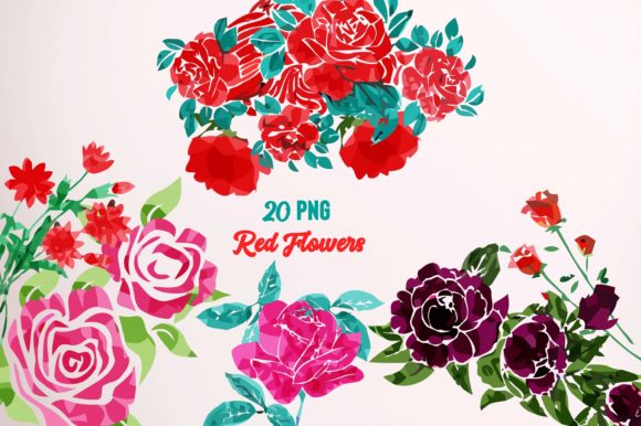 Watercolor Succulent Red Rose Florals De Graphics and Illustrations